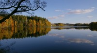 Jezero se nachází na Vysočině na klidném místě u lesa – 5 km od Pelhřimova. Jedná se o soukromý revír určený ke sportovnímu rybolovu “chyť a pusť ” a slouží […]