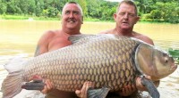 Angličan Keith Williams dostal ke svým 56. narozeninám jako dárek zájezd do rybářského resortu v Thajsku, ani ve snu ho nenapadlo, že tam pokoří světový rekord. Ze sladkovodního jezera se […]