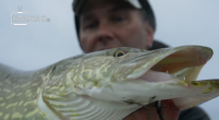 Pátý díl souboje Fly vs Jerk. Dvě metody, tři dny, čtyři rybáři – je to Fly vs Jerk 5. Která z metod je nejlepší – fly nebo jerk?  Za tým Fly s […]