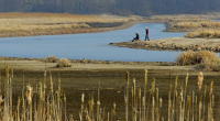 Vody v Lipenské přehradě je málo, ale není důvod k panice, zní z Povodí Vltavy. Vodní záchranář Milan Bukáček upozorňuje, že pokles hladiny může zhoršit kvalitu vody a přinést problémy […]